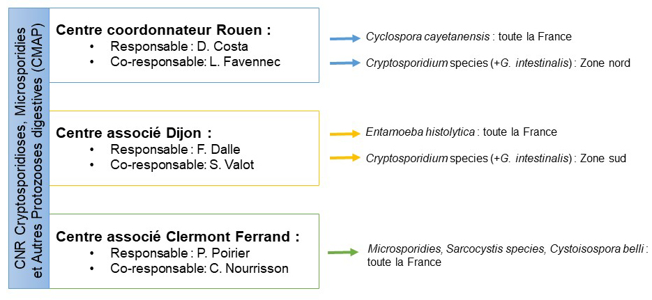 Organigramme du CNR